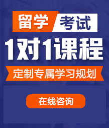 男人日女人批的网站留学考试一对一精品课